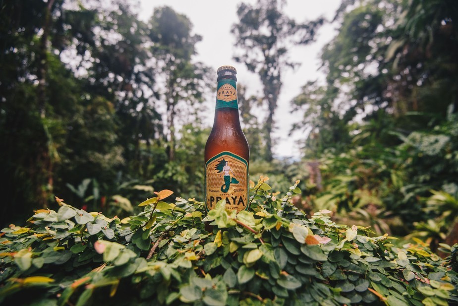 Cerveja Praya adquire certificação de empresa B e se torna a primeira gelada carbono neutra